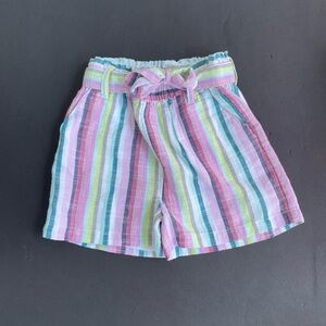 Striped Multicolor Shorts
